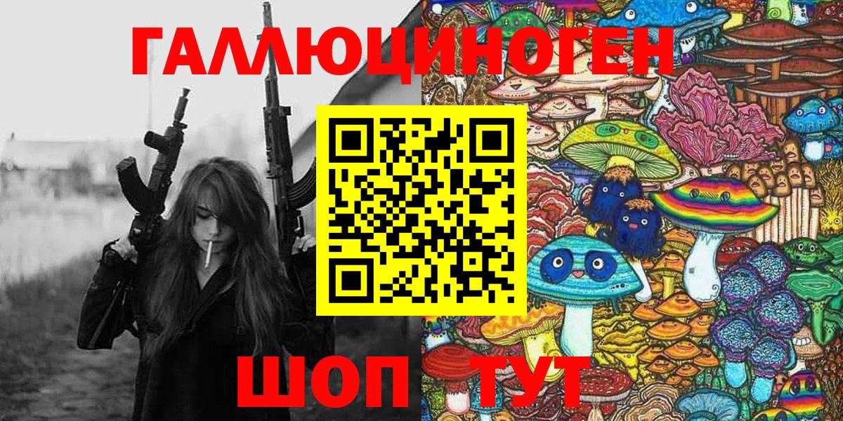 Галлюциногенные грибы Psilocybe Ирбит