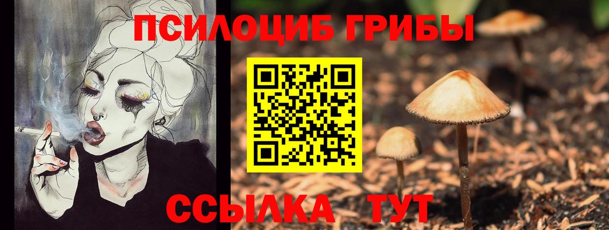 купить наркотик  Псилоцибиновые грибы MAGIC MUSHROOMS  Ирбит  Вход с VPN  Псилоцибиновые грибы ЛСД 